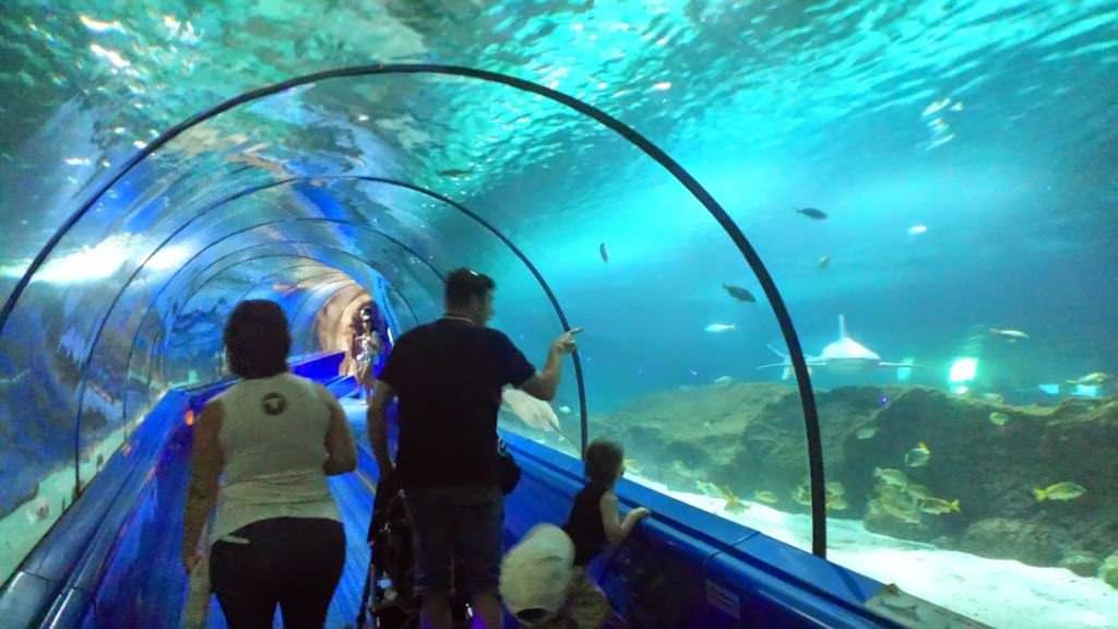 Tunel w akwarium z rekinami w Marineland Antibes
