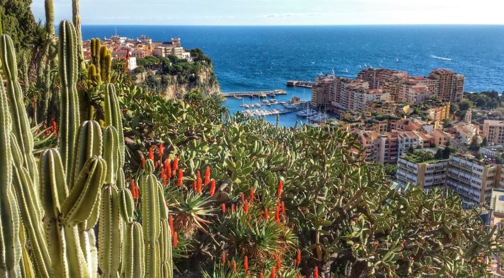 Ogród egzotyczny w Monaco, widok na Stare Miasto i dzielnicę Fontvieille