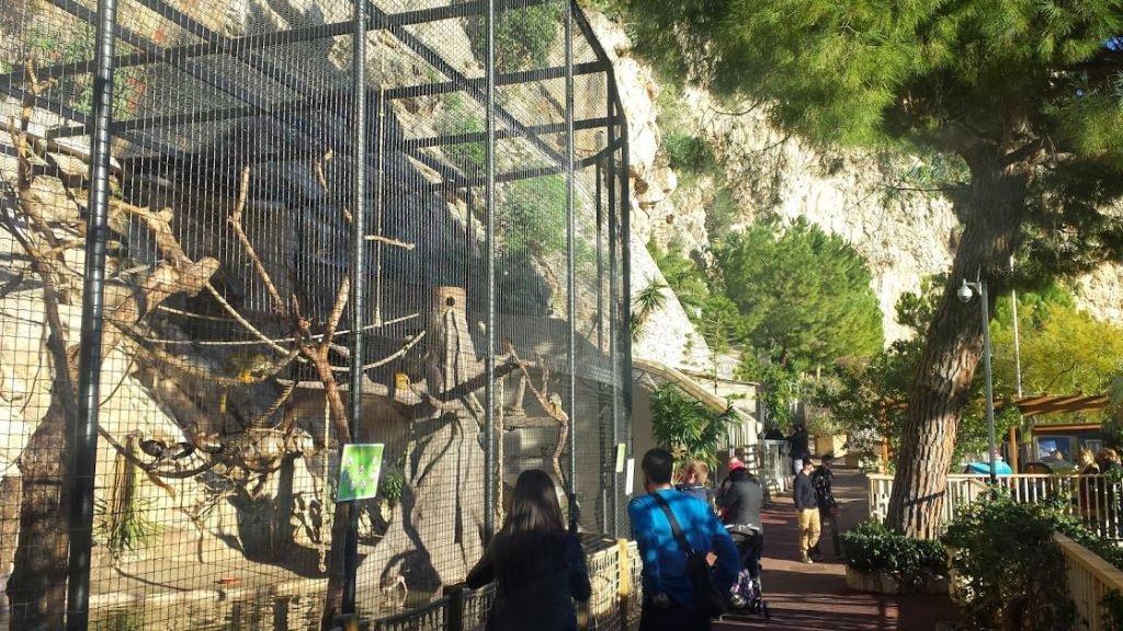 Ogród zoologiczny, Monaco
