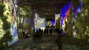 Carrieres de Lumieres, Prowansja
