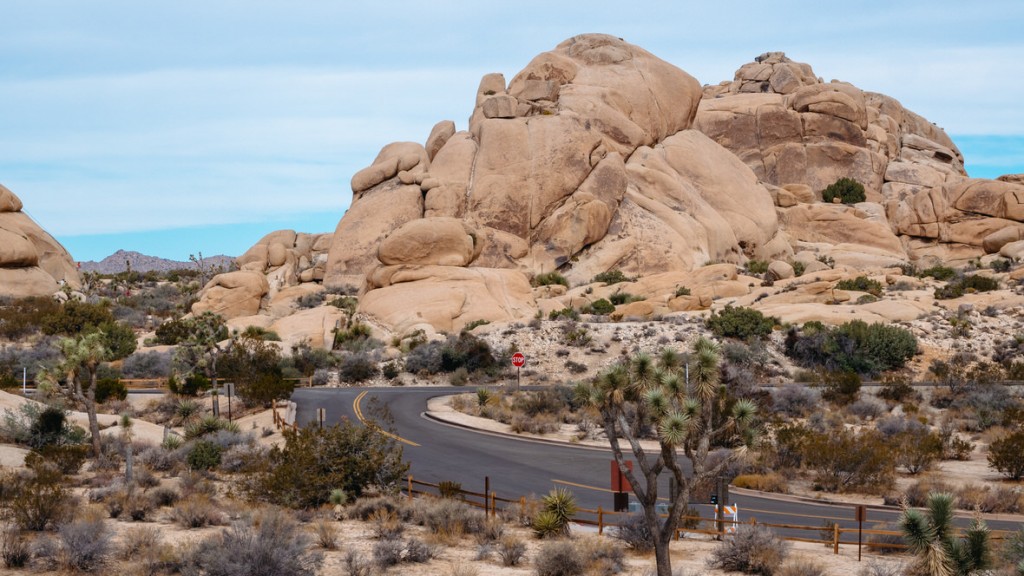 Park Narodowy Joshua Tree, USA