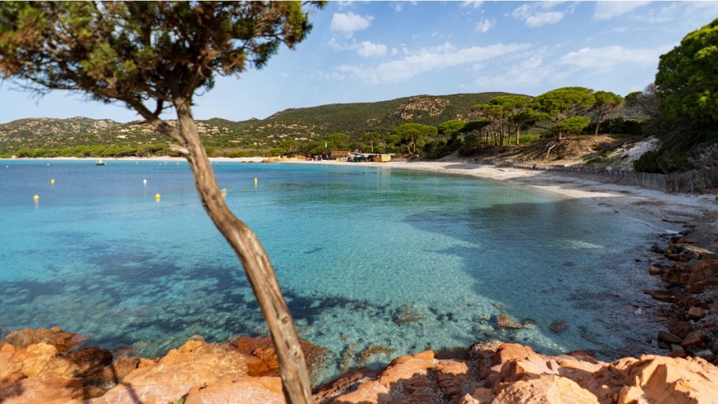 Plaża Palombaggia, Korsyka