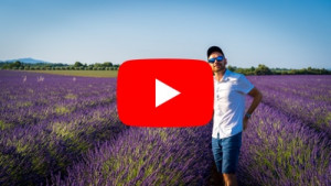 Pola lawendy YouTube