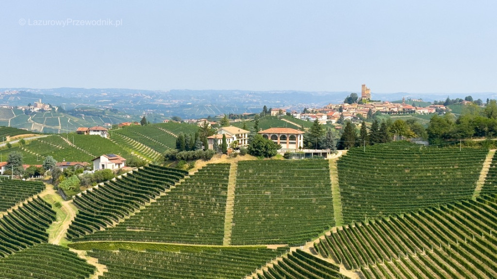 Langhe, Wochy