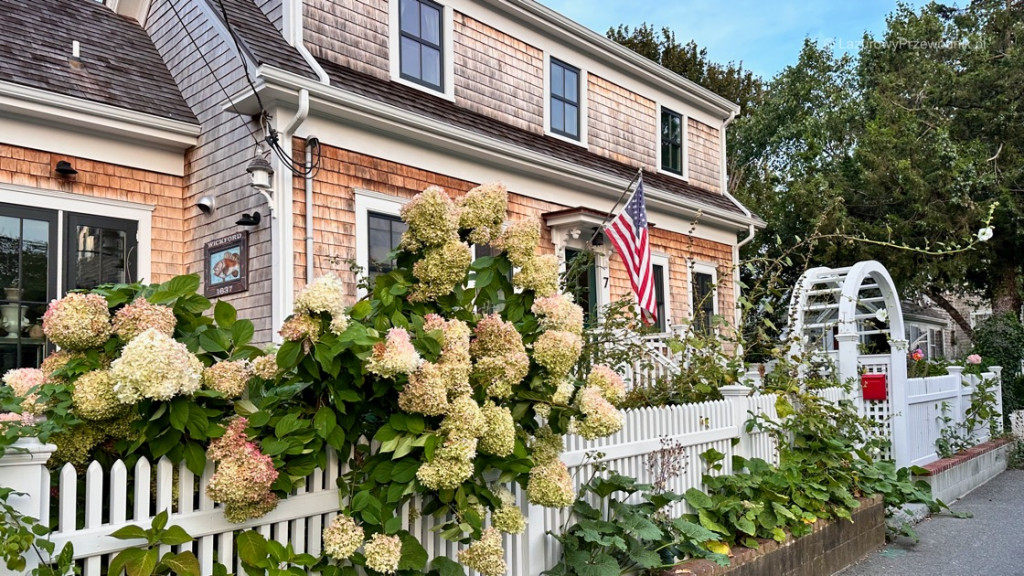Kolorowe domy otoczone kwiatami to standardowy widok w Provincetown